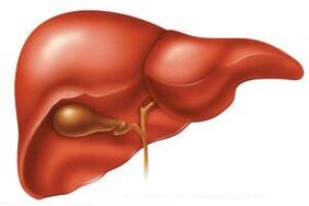 U akutnoj fazi helmintijaze, jetra se može povećati